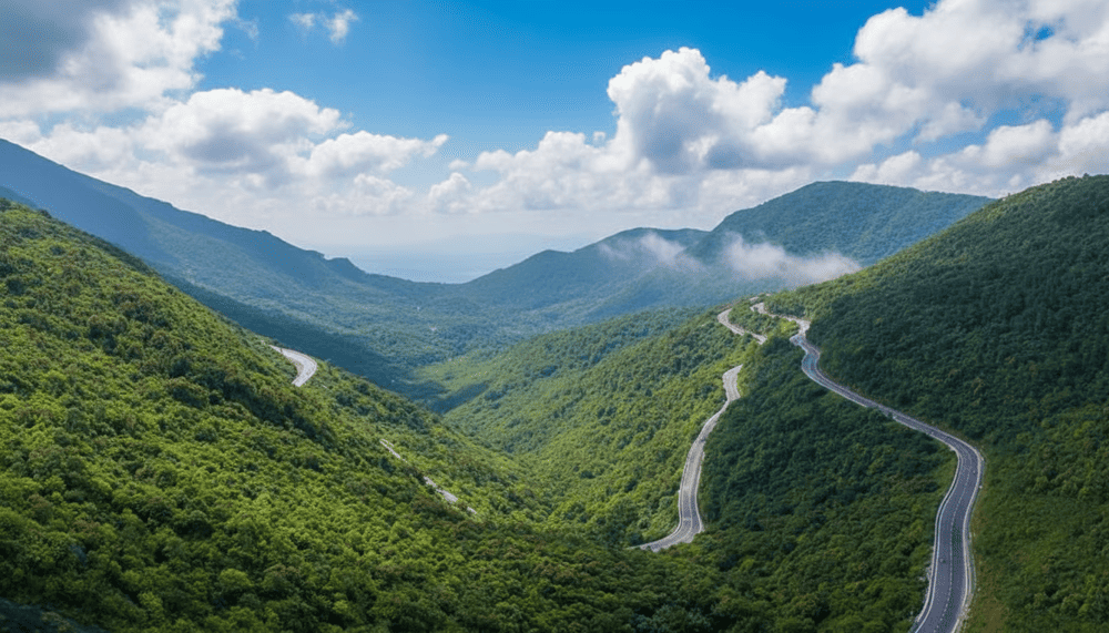 The journey from Da Nang to Bach Ma offers scenic views, especially along Hai Van Pass
